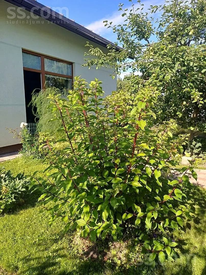 Māja — Miķelīšu 14 — bilde 3
