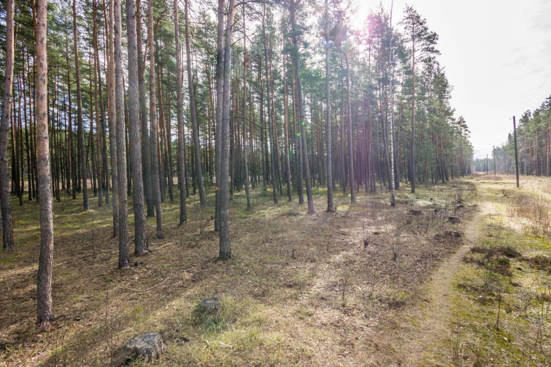 Vecāķu prospekts, Vecāķi, Rīga — bilde 2