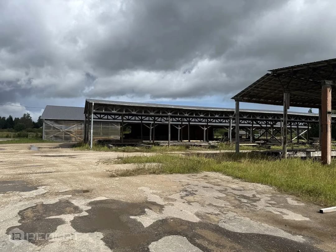 Telpas, 75000㎡ - Tukuma novads, Kandavas pagasts — bilde 4