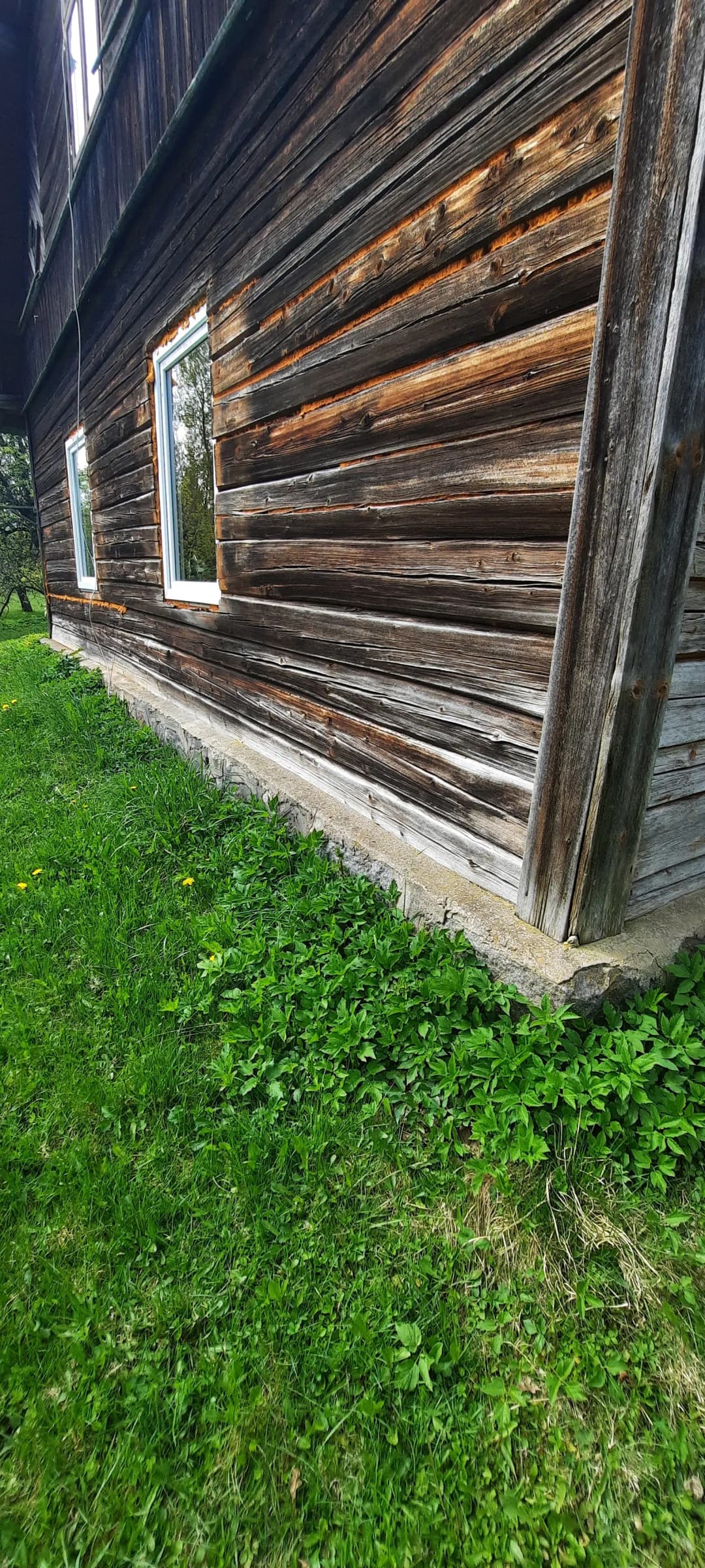 Daukstu pagasts, Gulbenes novads — bilde 4