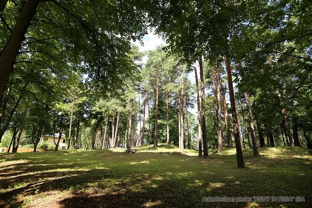 Mežaparks, Rīga