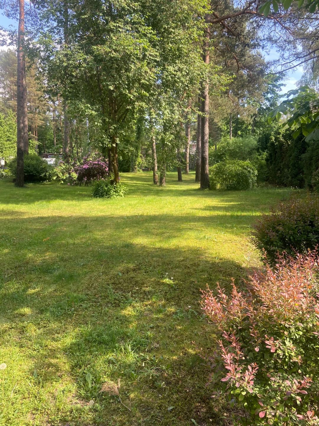 Kāpu prospekts, Vecāķi, Rīga — bilde 4