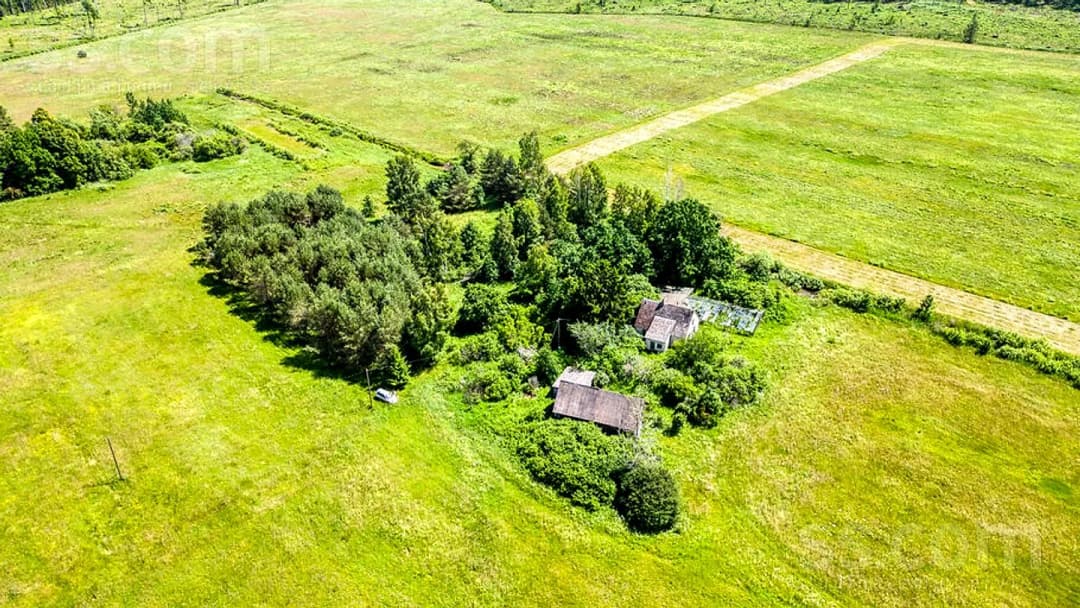 Māja — Silmači