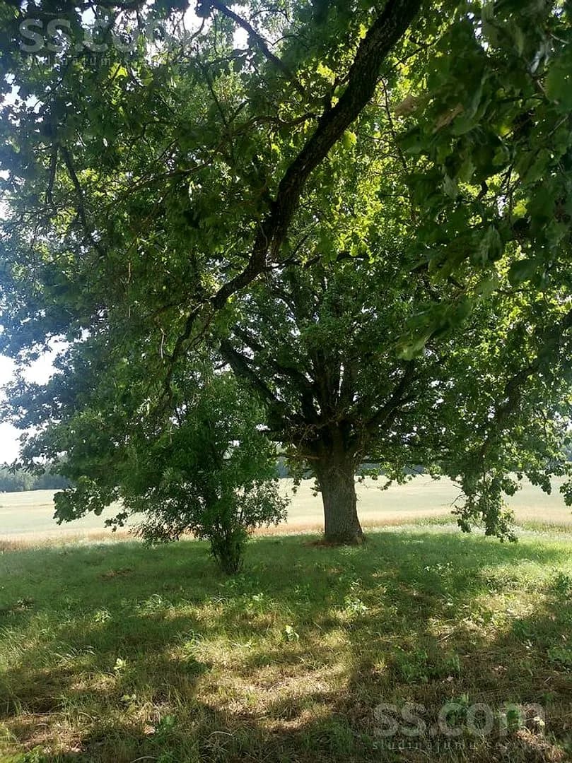 Māja — Skramāni — bilde 3