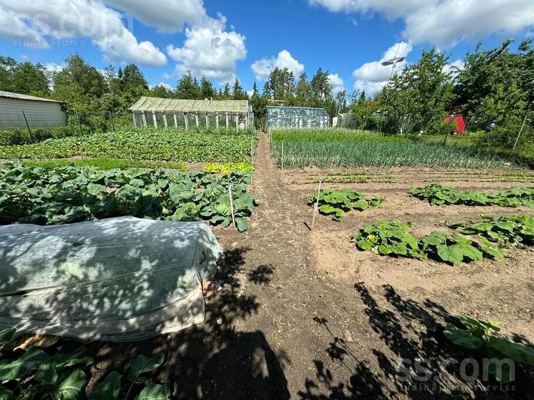 Māja — Birkineļu dārziņi 99 — bilde 3