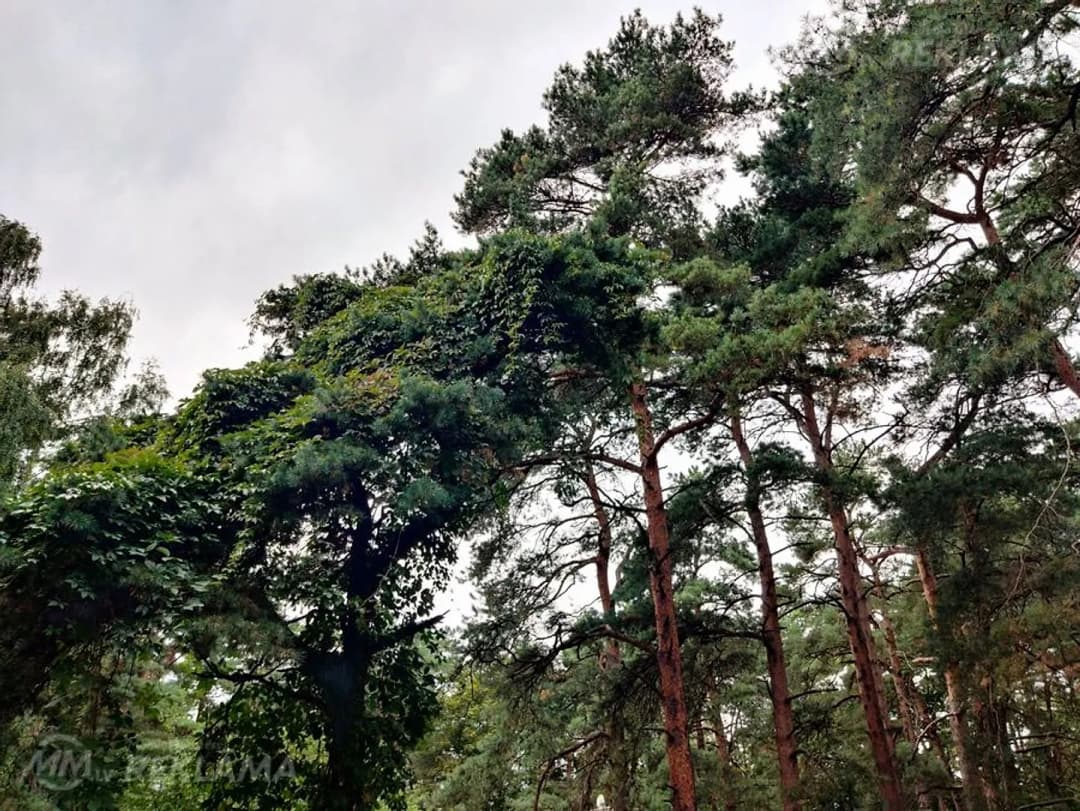 2 istabu 48m² dzīvoklis Jūrmalā, Bulduri