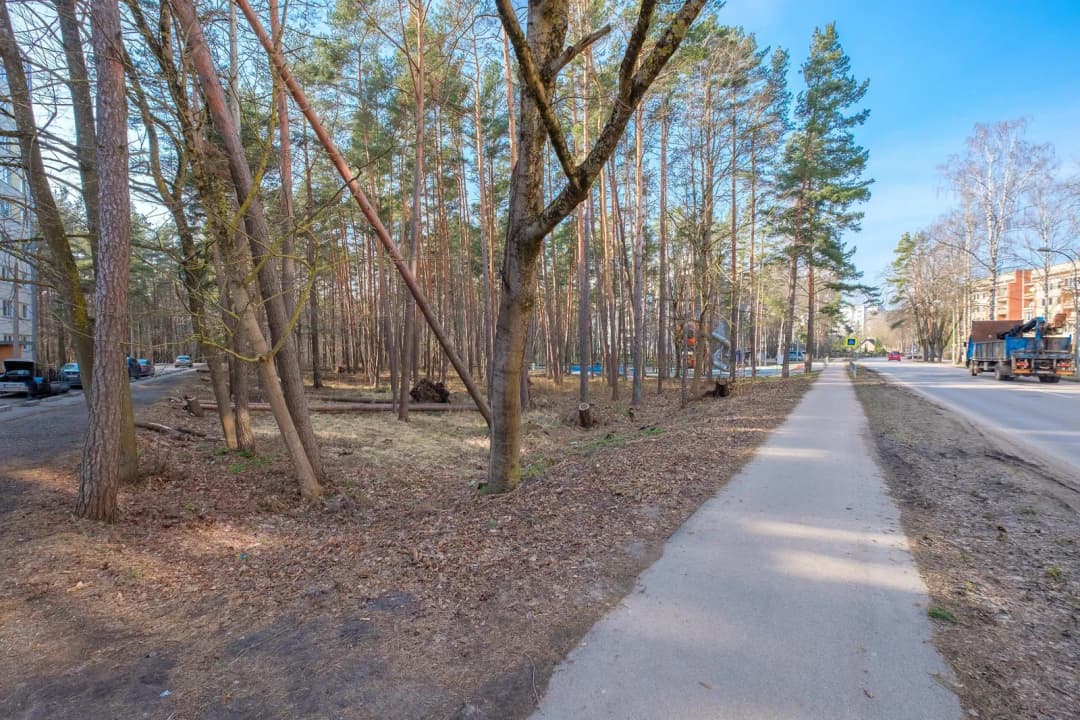 Skolas iela, Kauguri, Jūrmala — bilde 4