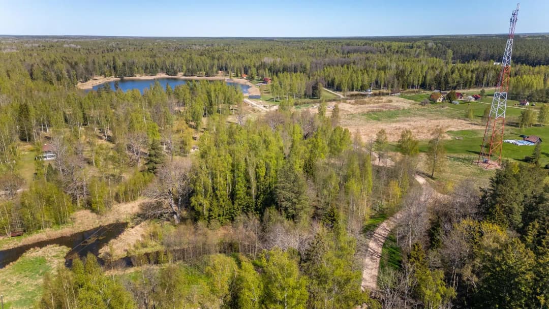 Saules iela, Liepupes pagasts, Limbažu novads — bilde 3