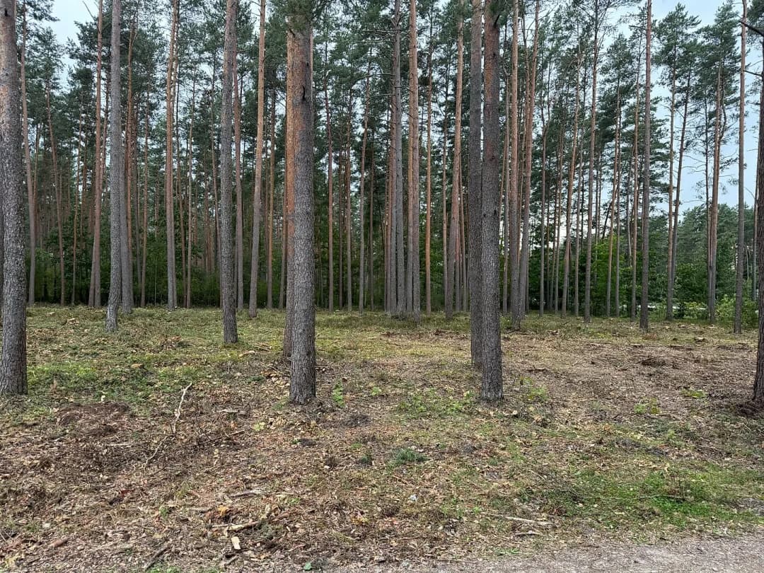 Zeme, 4959㎡ - Garkalnes pagasts, Garkalne