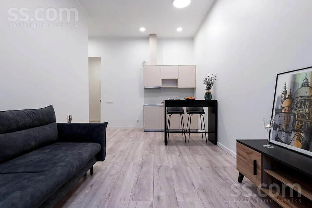 Vienistabas dzīvoklis — Pulkv. Brieža 10 — vēl bildes