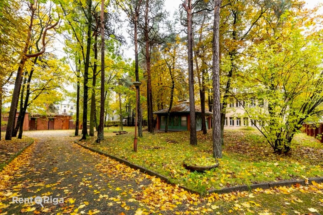 Iegādei tiek piedāvāts 3781 m2 liels zemes gabals uz kura atrodās ēkas. Īpašums sastāv no — bilde 2