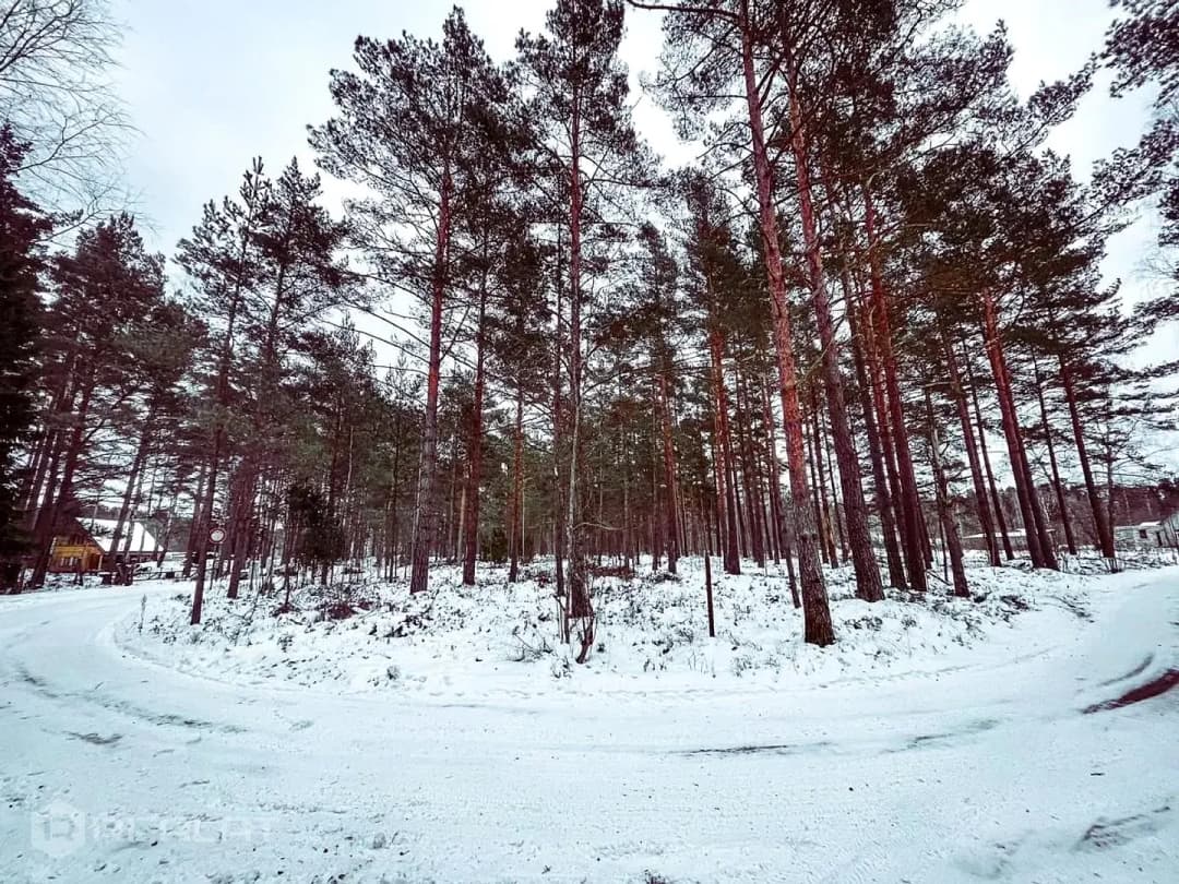 Zeme, 3212.00㎡ - Mērsraga pagasts, Mērsrags — bilde 3