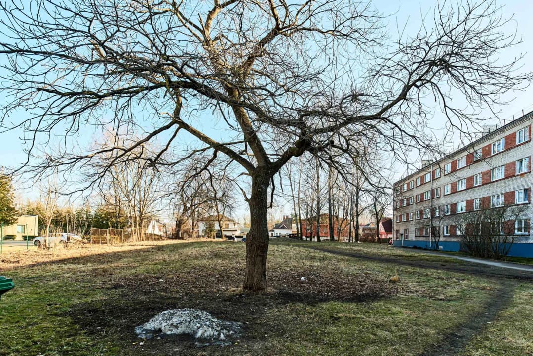 Zalves iela, Šampēteris, Rīga — vēl bildes