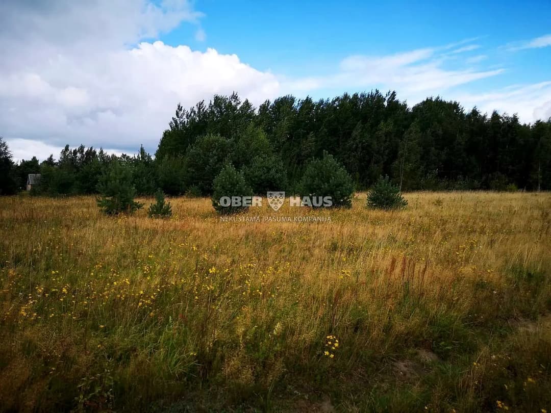Zeme, 20000.00㎡ - Užavas pagasts, Sārnate — bilde 4