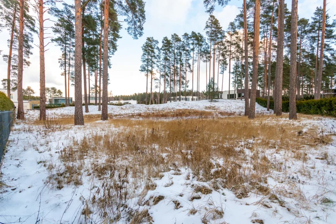 Ezera iela, Babītes pagasts, Mārupes novads — bilde 3