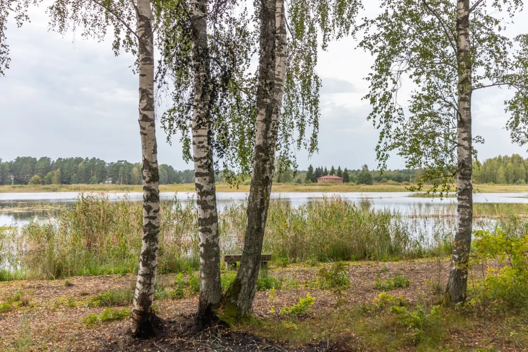 Upesciems, Garkalnes pagasts — vēl bildes