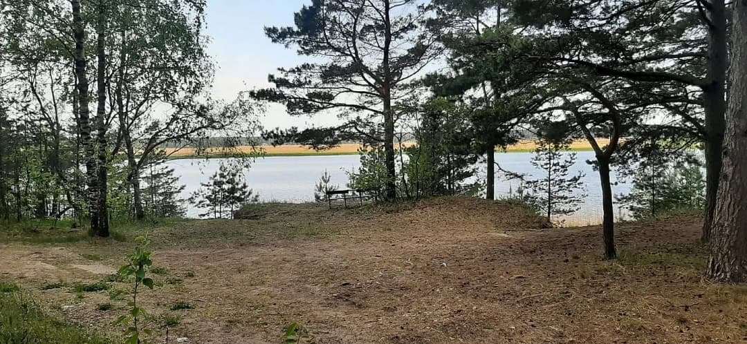 Priedaine, Jūrmala — bilde 3