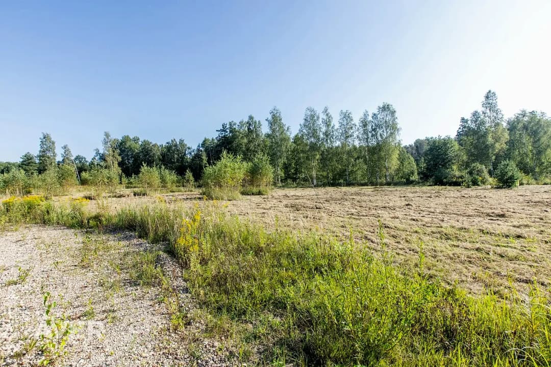 Zeme, 4841㎡ - Valgundes pagasts, Vītoliņi — vēl bildes