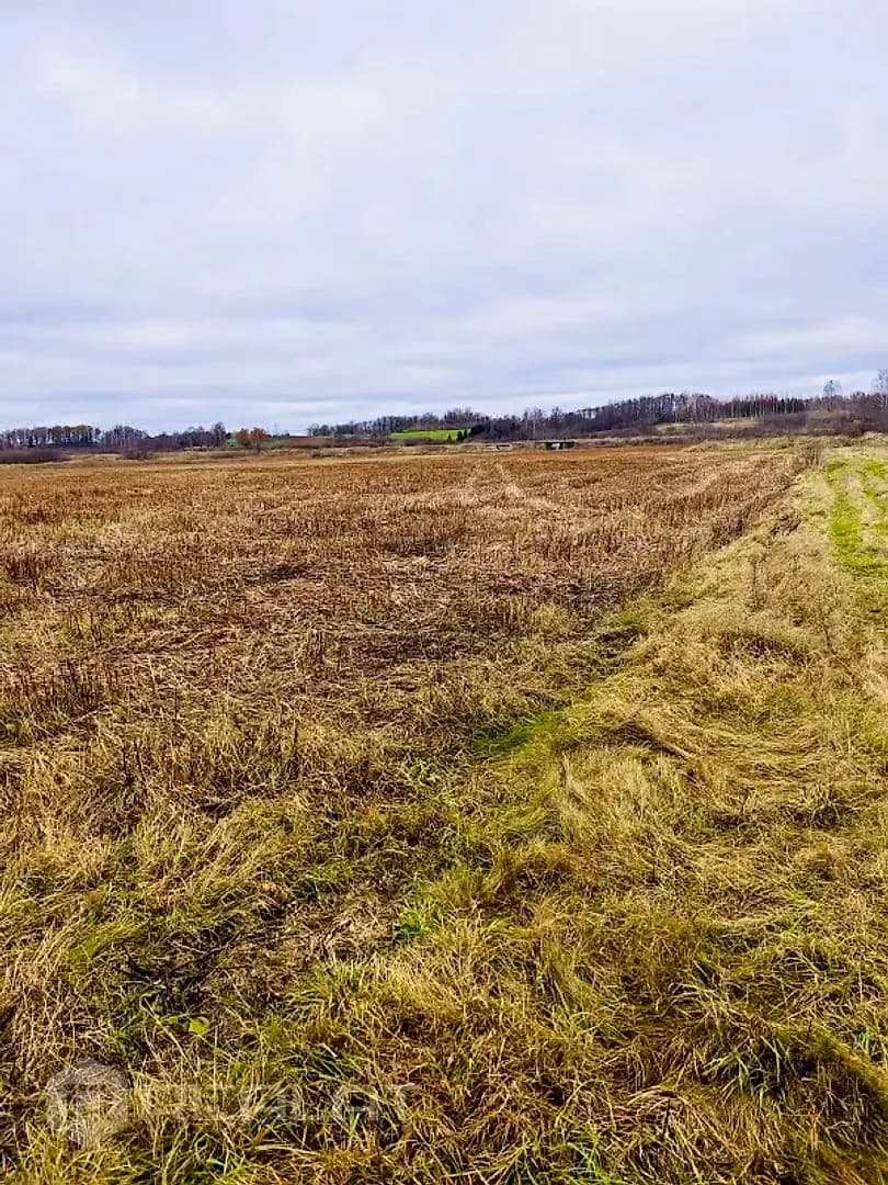 Zeme, 25244㎡ - Saldus novads, Jaunlutriņu pagasts — bilde 3
