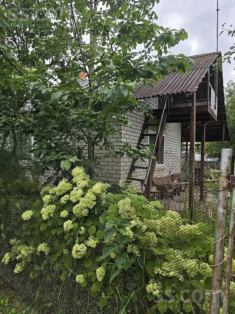 Māja — Lielziedi 731