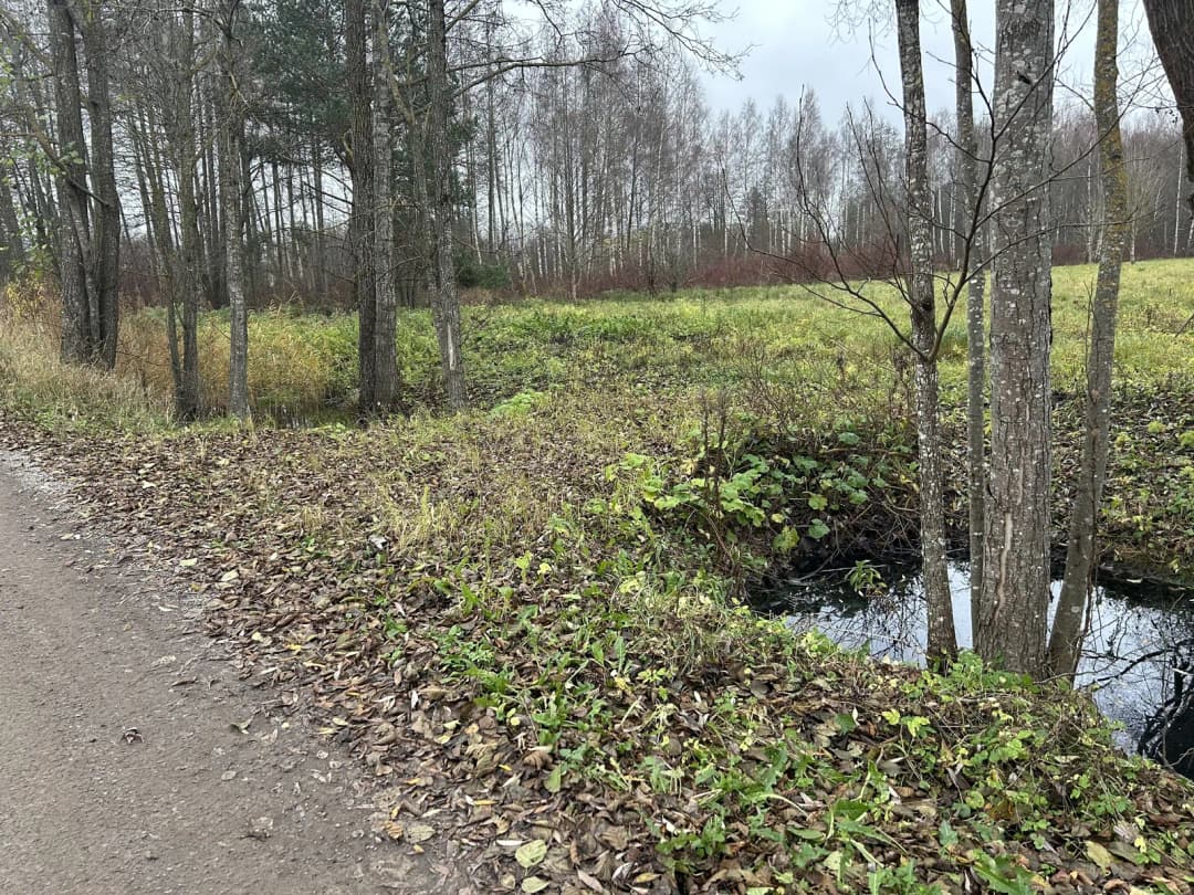 Mūkupurva iela, Mūkupurvs, Rīga — bilde 3