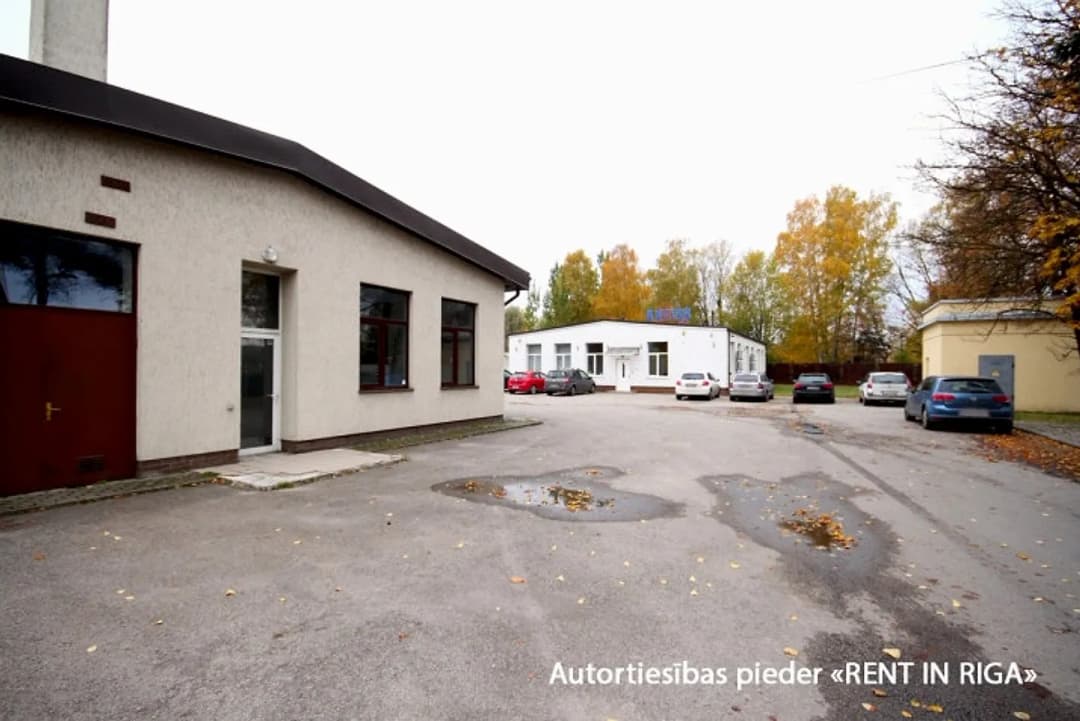 Komerctelpas — Ganību dambis — bilde 3