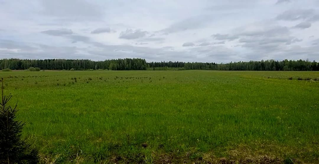 Rendas pagasts, Kuldīgas novads