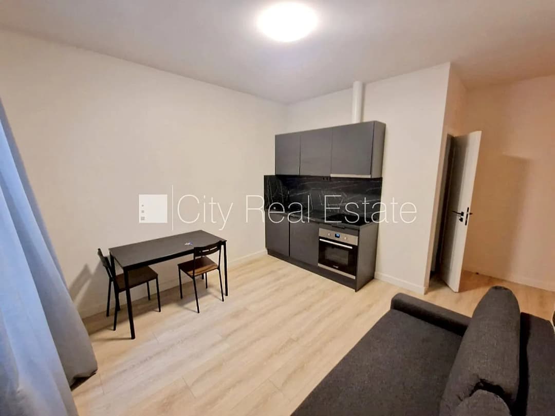 Vienistabas dzīvoklis — Krišjāņa Barona iela 104