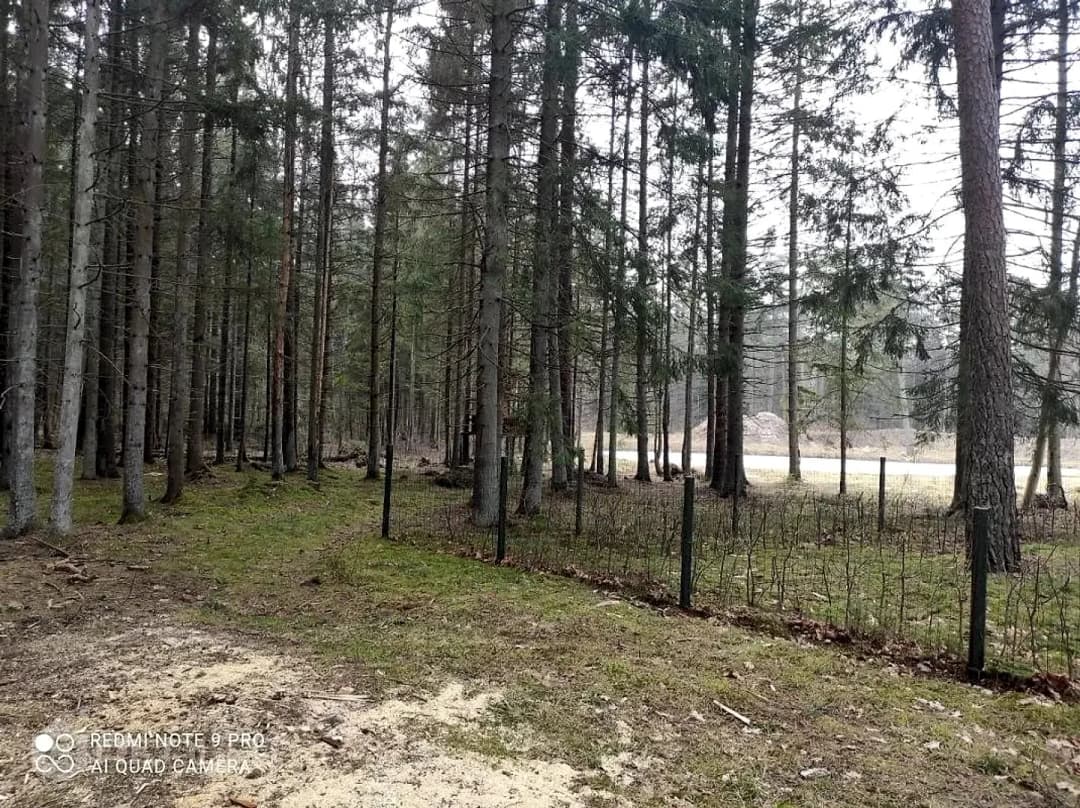 Zeme, 4390.00㎡ - Dienvidkurzemes novads, Grobiņa — vēl bildes
