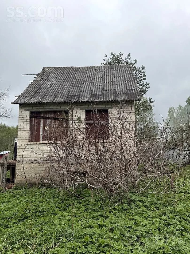 Māja — Pavasaris 6 — bilde 2