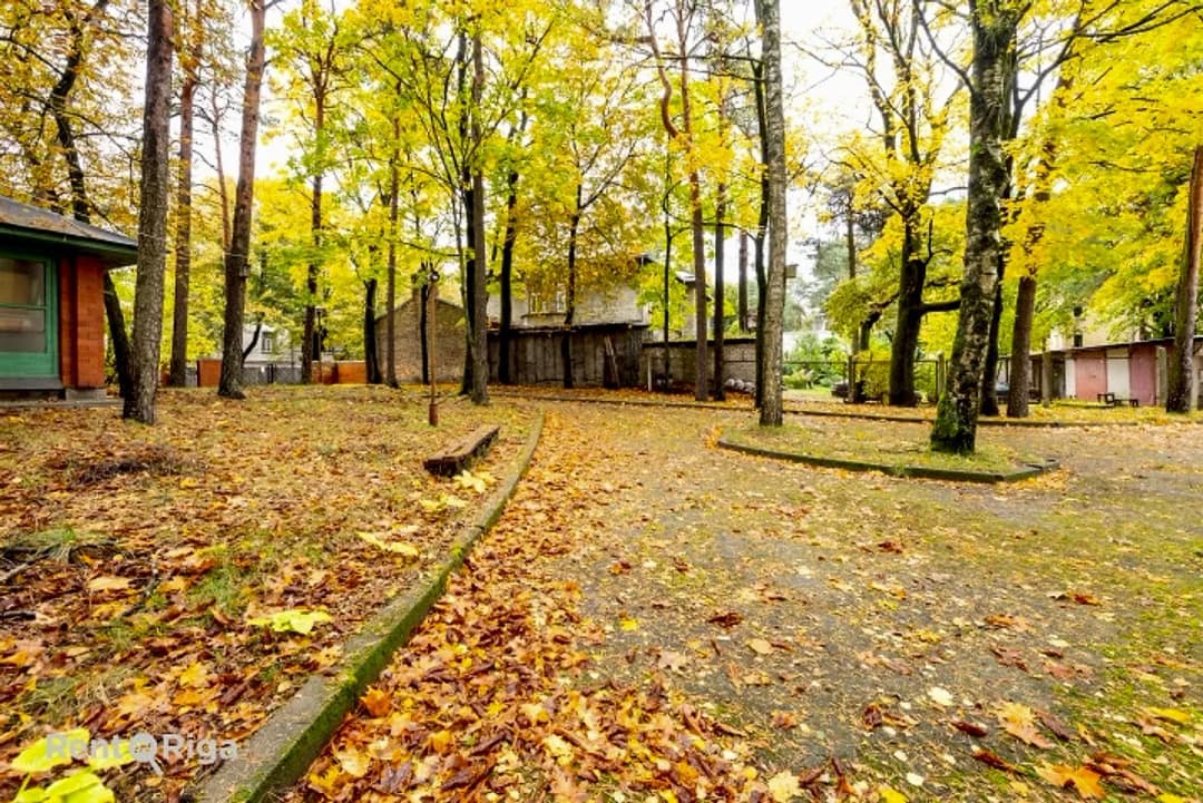Iegādei tiek piedāvāts 3781 m2 liels zemes gabals uz kura atrodās ēkas. Īpašums sastāv no