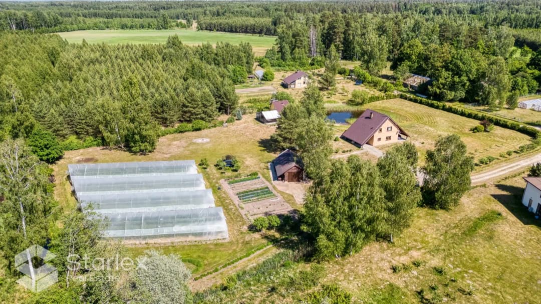 Vīnogas , Salgales pag., Jelgava — bilde 4