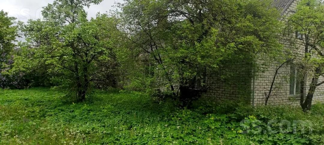 Māja — 4 Līnija 8 — vēl bildes