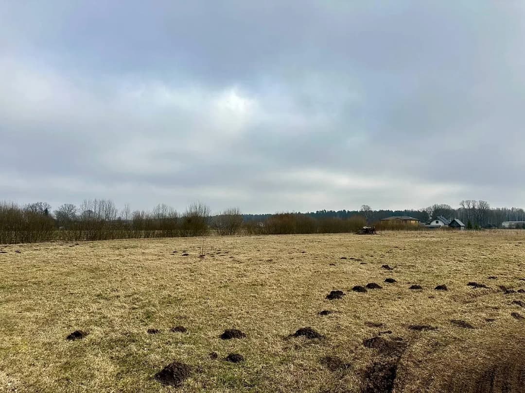 Zeme, 3000㎡ - Mārupes novads, Mārupes pagasts — bilde 4