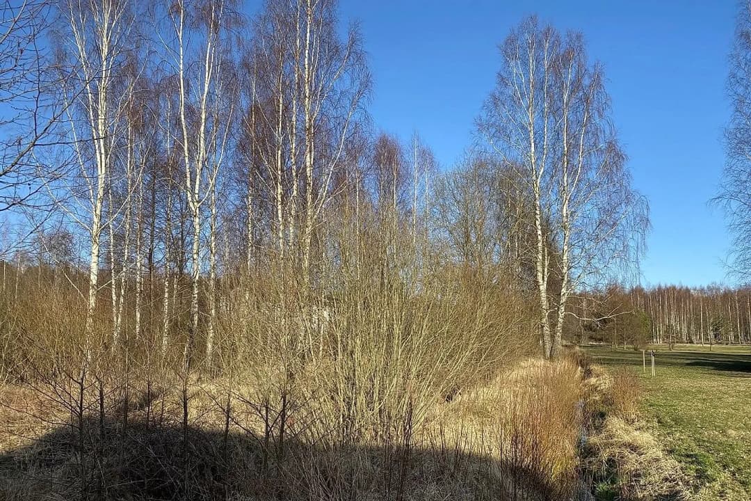 Saulkrastu pagasts, Saulkrastu novads — bilde 3
