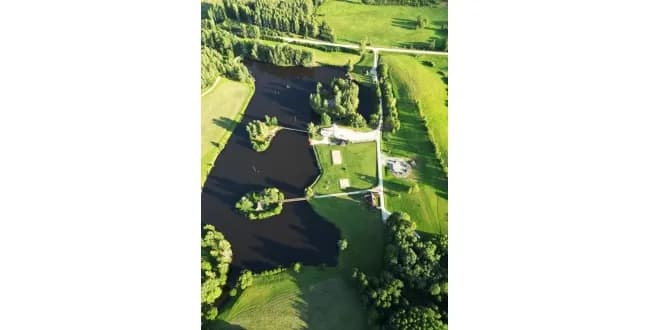 Iela Trīssaliņas