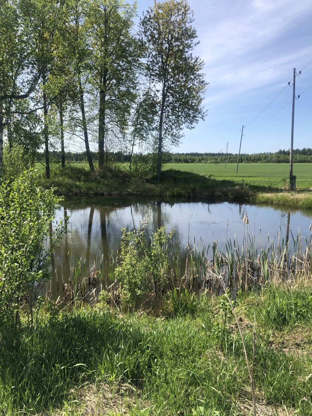 Zemītes pagasts, Tukuma novads