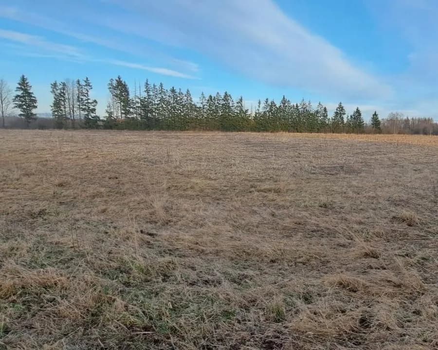 Sējas pagasts, Saulkrastu novads — bilde 2