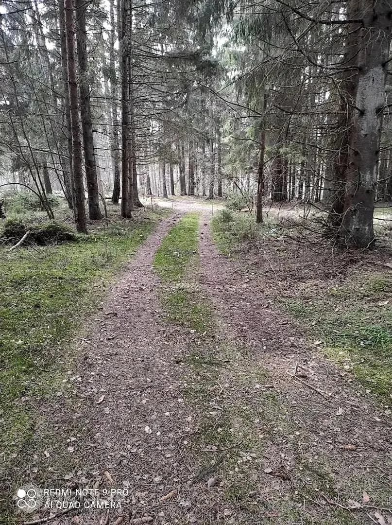 Zeme, 4390.00㎡ - Dienvidkurzemes novads, Grobiņa — bilde 3