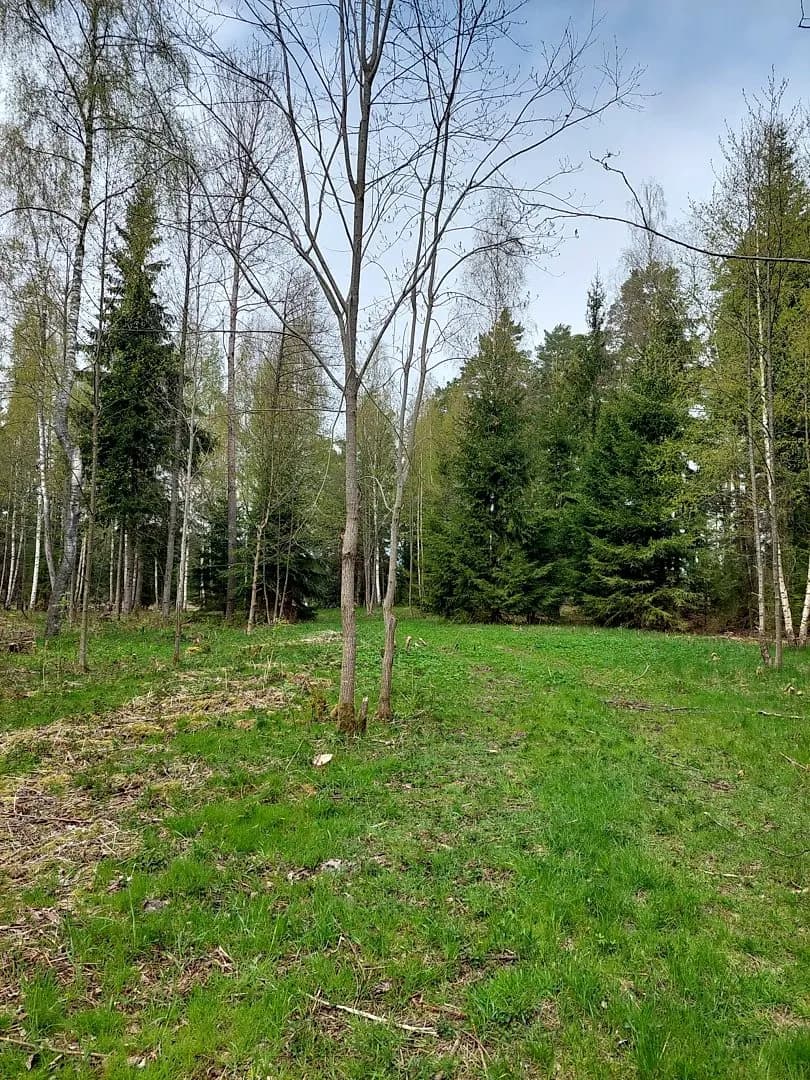Zeme, 28900㎡ - Talsu novads, Ģibuļu pagasts — bilde 3