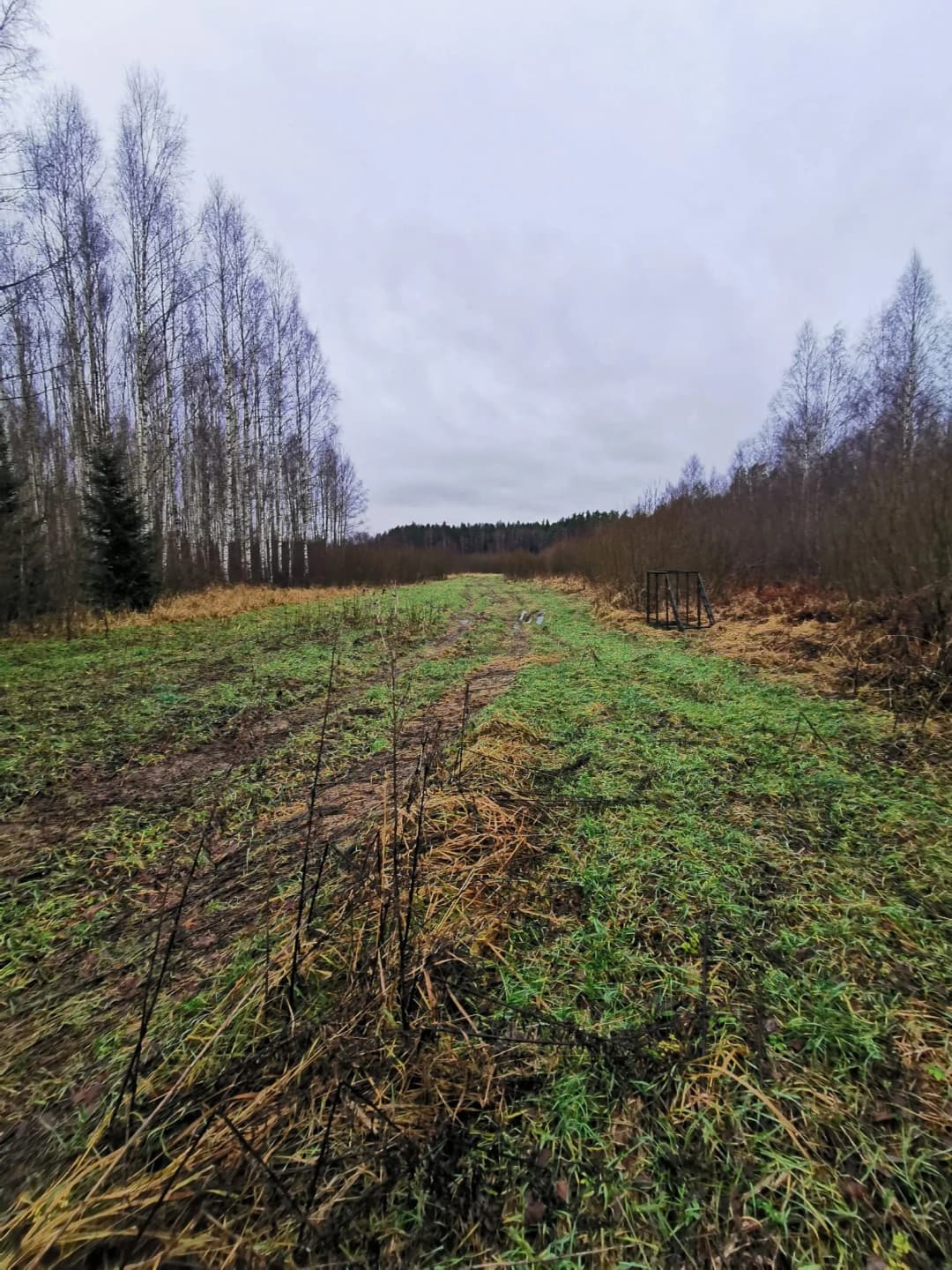 Lēdurgas pagasts, Siguldas novads — bilde 3
