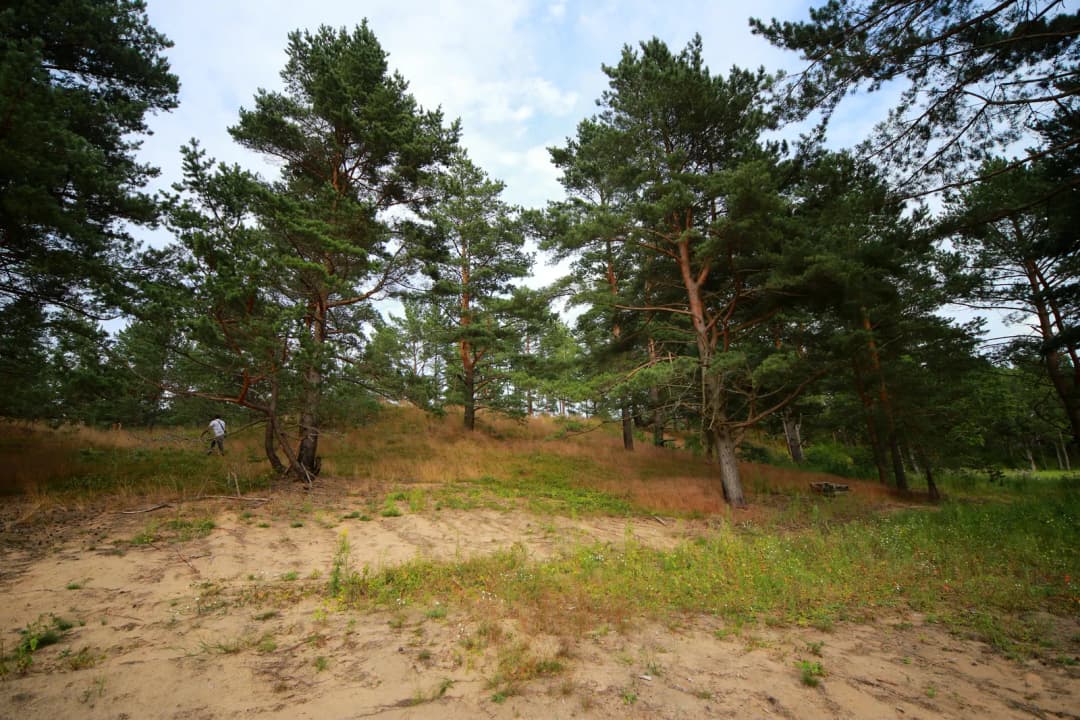 Zābaku iela, Ādažu pagasts, Ādažu novads — bilde 3
