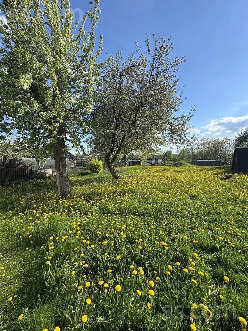 Māja — Rīgas 95 — vēl bildes