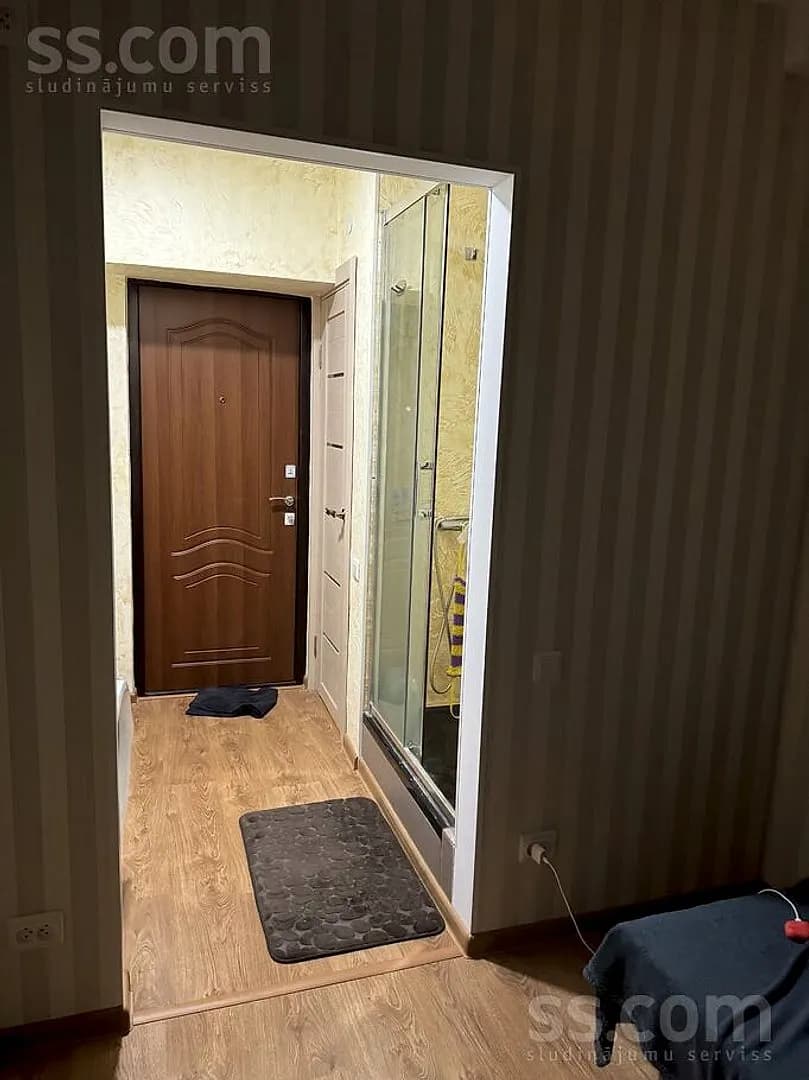 Vienistabas dzīvoklis — Dārzu 30a — bilde 2