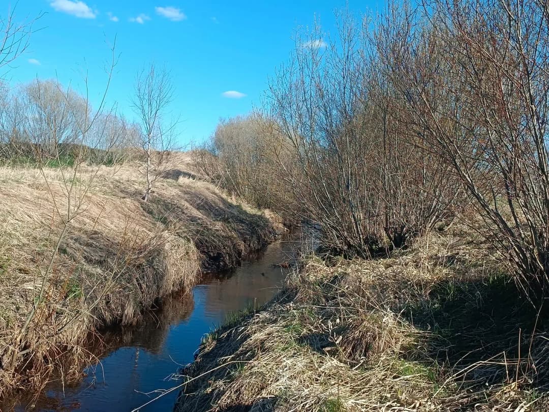 Tīnūžu pagasts, Ikšķiles novads — vēl bildes