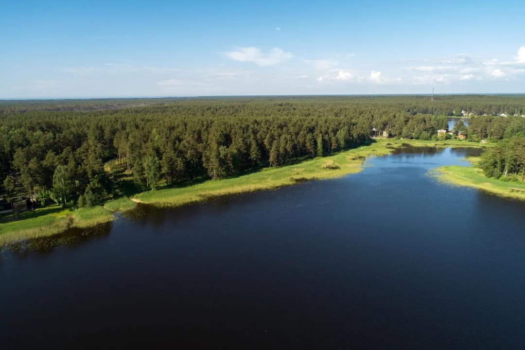Laimdotas iela, Carnikavas pagasts, Ādažu novads