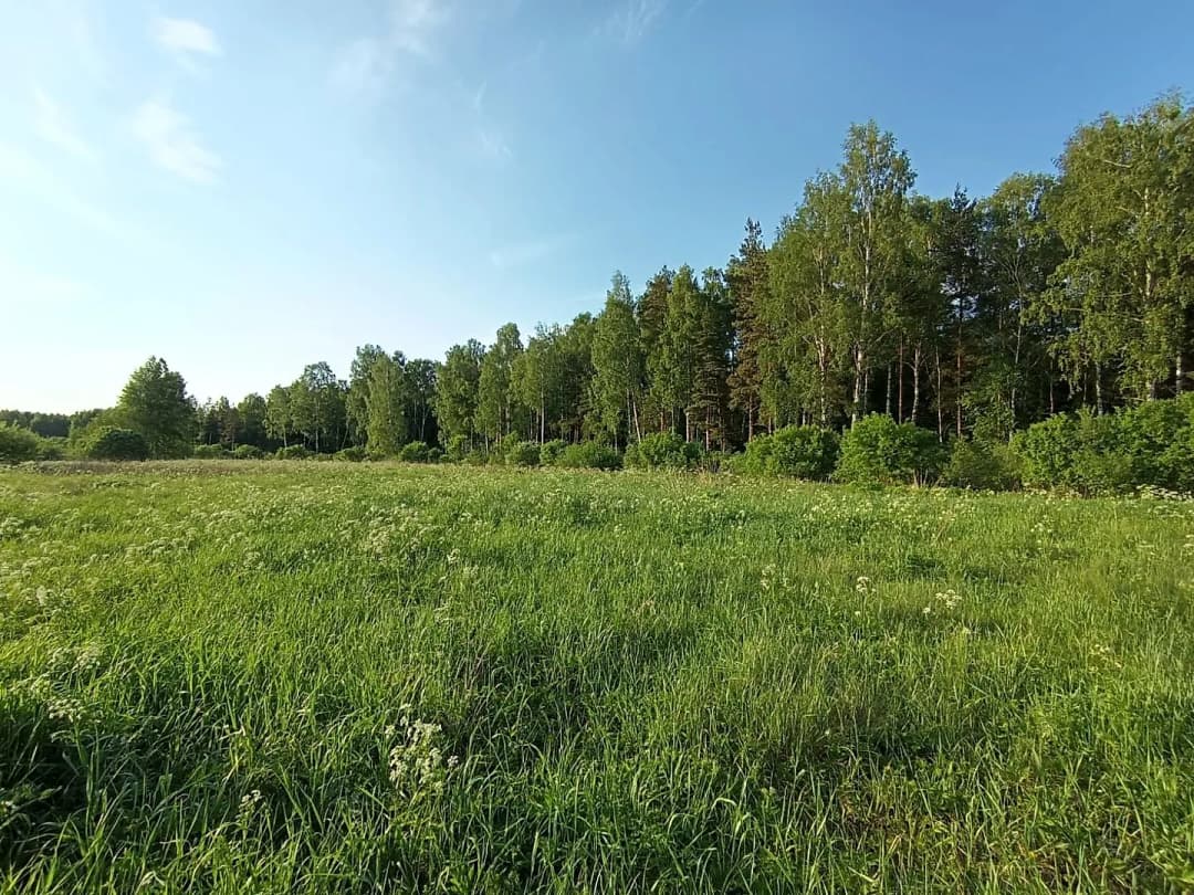 Tīnūžu pagasts, Ikšķiles novads — bilde 4