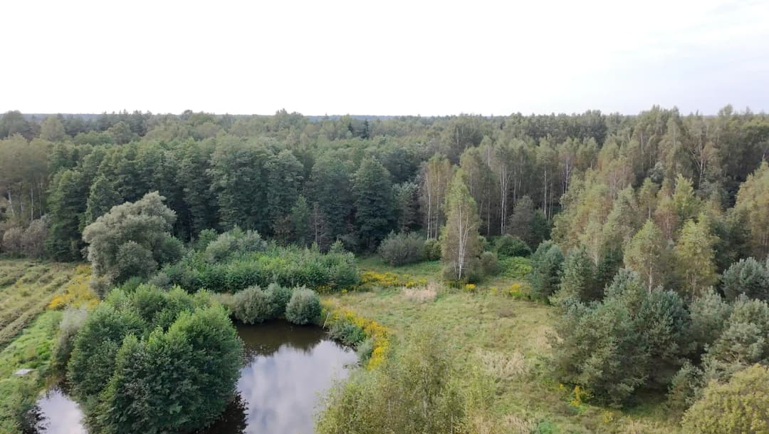 Baldones pagasts, Ķekavas novads — vēl bildes