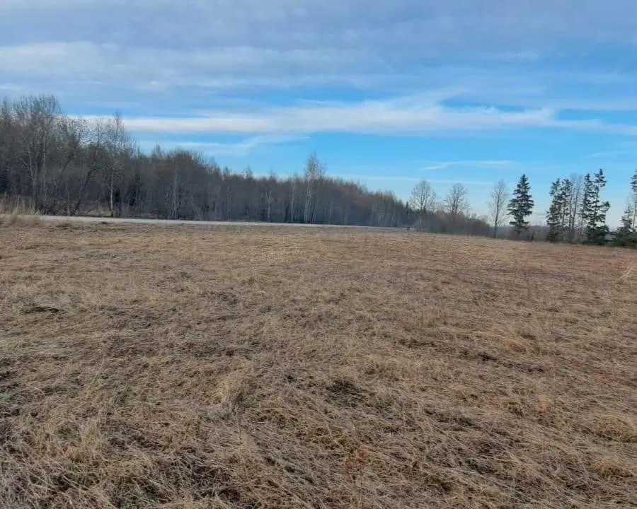 Sējas pagasts, Saulkrastu novads — bilde 4