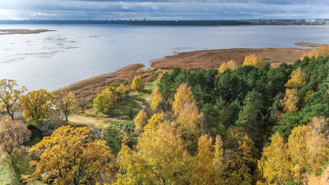 Jaunciema gatve, Jaunciems, Rīga